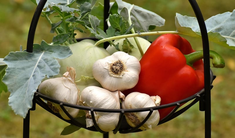 Organic Food Image